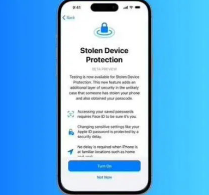 大朗镇苹果授权维修店分享被盗设备保护功能开启方法 
