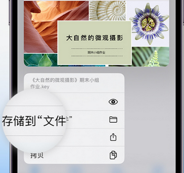 大朗镇apple维修中心分享iPhone文件应用中存储和找到下载文件