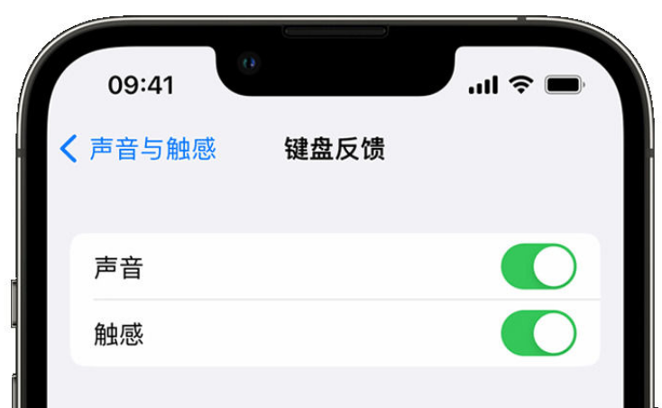 大朗镇苹果手机维修分享iPhone 14触感键盘使用方法 