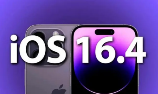 大朗镇苹果14维修分享：iPhone14可以升级iOS16.4beta2吗？ 