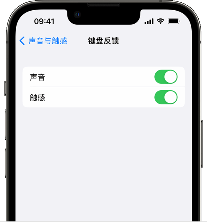 大朗镇苹果14维修店分享如何在 iPhone 14 机型中使用触感键盘 