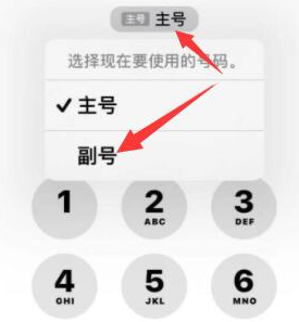 大朗镇苹果14维修店分享iPhone 14 Pro Max使用副卡打电话的方法 