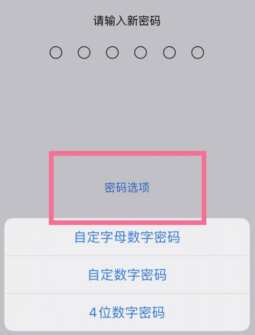 大朗镇苹果14维修分享iPhone 14plus设置密码的方法 