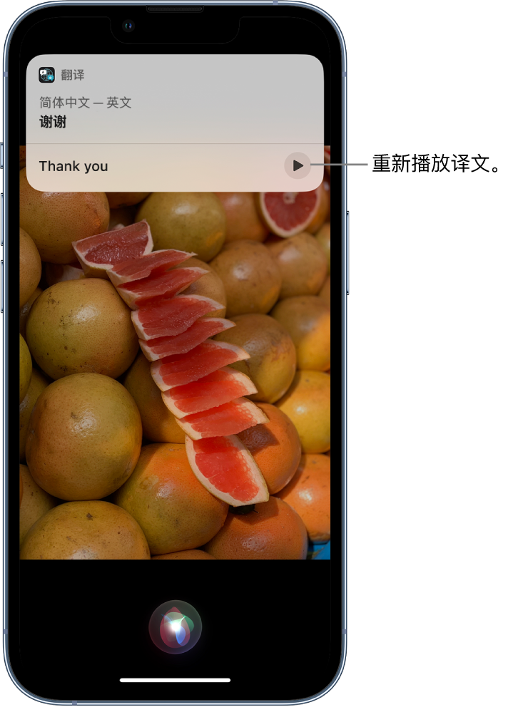 大朗镇苹果14维修分享 iPhone 14 机型中使用 Siri：了解 Siri 能帮你做什么 