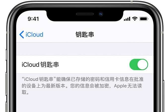 大朗镇苹果手机维修分享在 iPhone 上开启 iCloud 钥匙串之后会储存哪些信息 