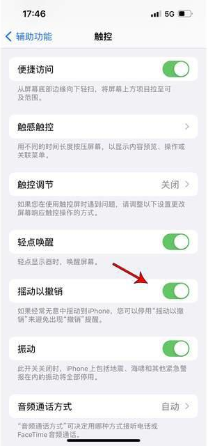 大朗镇苹果手机维修分享iPhone手机如何设置摇一摇删除文字 